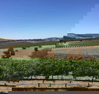Peerick Vineyard and Winery - Accommodation Australia