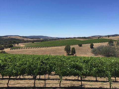 Peerick Vineyard And Winery - Australia Shopping 0