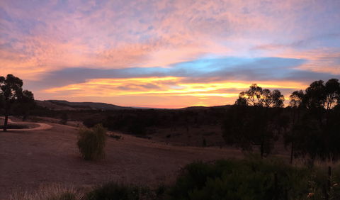 Peerick Vineyard And Winery - Australia Shopping 1