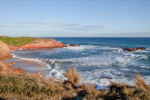 The Cape Kitchen - Local Tourism 0