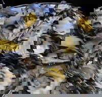 View 42o - Local Tourism