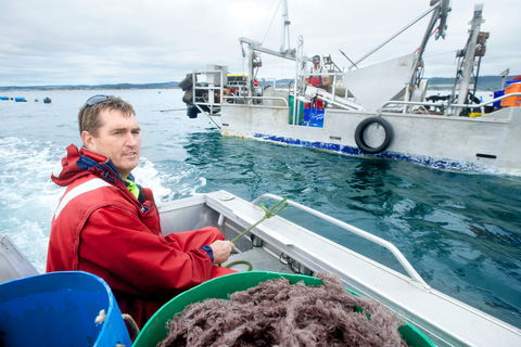 Peninsula Fresh Seafood - Accommodation Australia 0