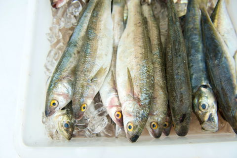 Peninsula Fresh Seafood - Accommodation Australia 2
