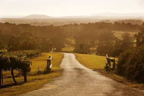 Petersons Wines - Australia Shopping 0