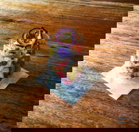 Seed Cafe - Accommodation Australia