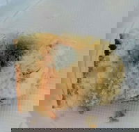 Central Patisseries - Local Tourism