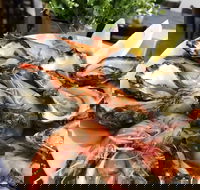 Fish Depot  - Jindalee - Accommodation Australia