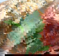 Organic Speciality Store - Local Tourism