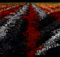 Sandhurst Ridge - Australia Shopping