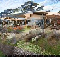 Alpine Larder Cafe - Local Tourism