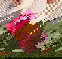 Donut King - Browns Plains - Local Tourism