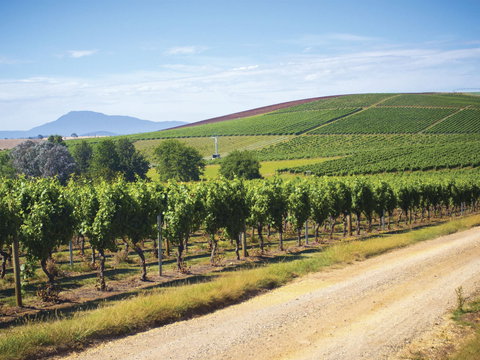 Jansz Tasmania - Local Tourism 0