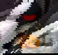 Lil' Orbit - Australia Shopping