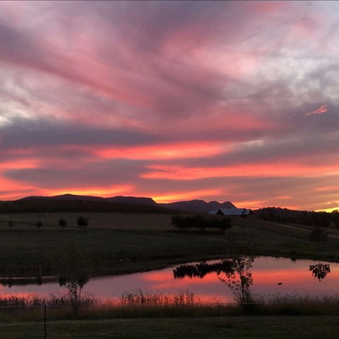 Mira Wines - Accommodation Australia 1