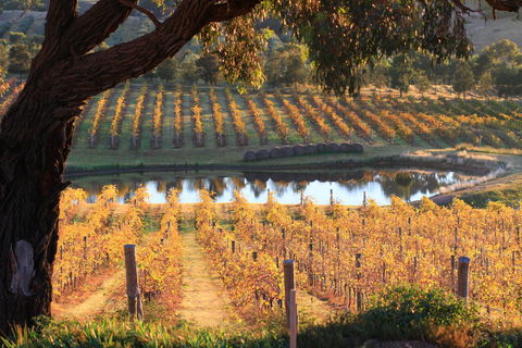 Sanguine Estate - Australia Shopping 0