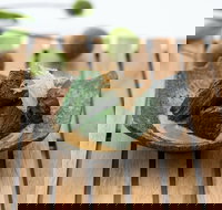 Shiki Japanese Restaurant - Accommodation Australia