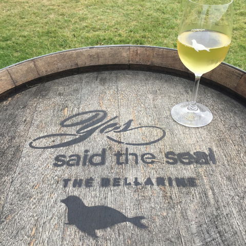Yes Said The Seal - Accommodation Australia 1