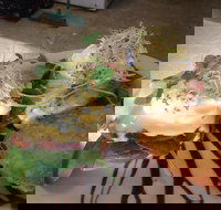 Cafe in the Mountains - Australia Shopping