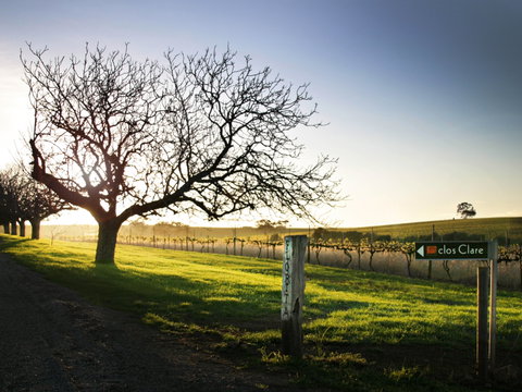 Clos Clare - Local Tourism 2