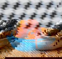 The Yiros Shop - Newmarket - Australia Shopping