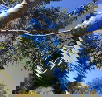 The Grove Vineyard Cafe - Local Tourism