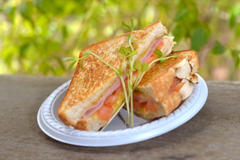 Wangi Falls Cafe - Local Tourism 2