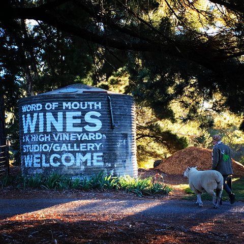 Word Of Mouth Wines - Bed n Breakfasts 1