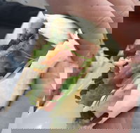 Onshore Cafe - Local Tourism