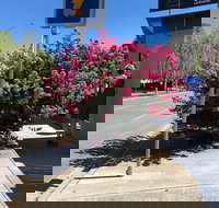 Alpine Gate Cafe - Local Tourism