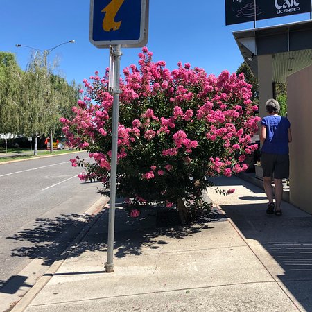 Alpine Gate Cafe - Local Tourism 0