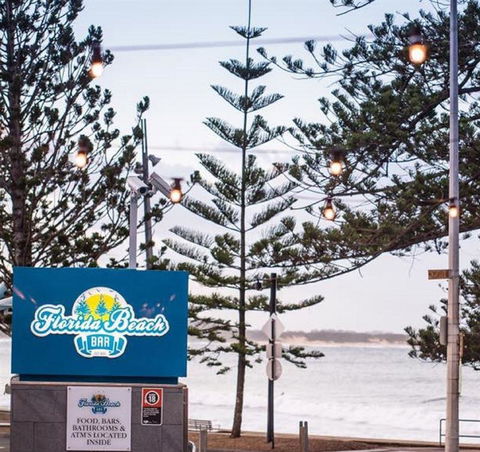 Anchovy - Accommodation Australia 2