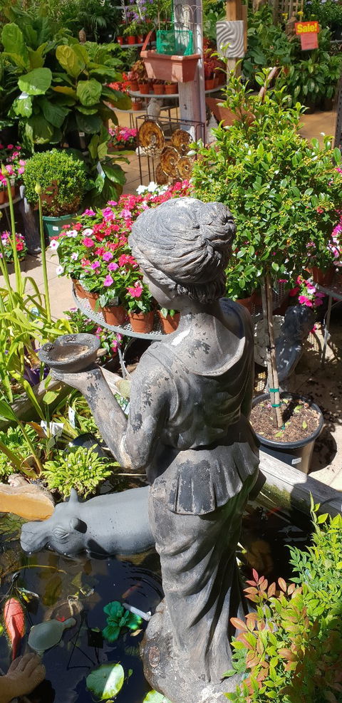 Sarah's Sister's Sustainable Cafe - Australia Shopping 31