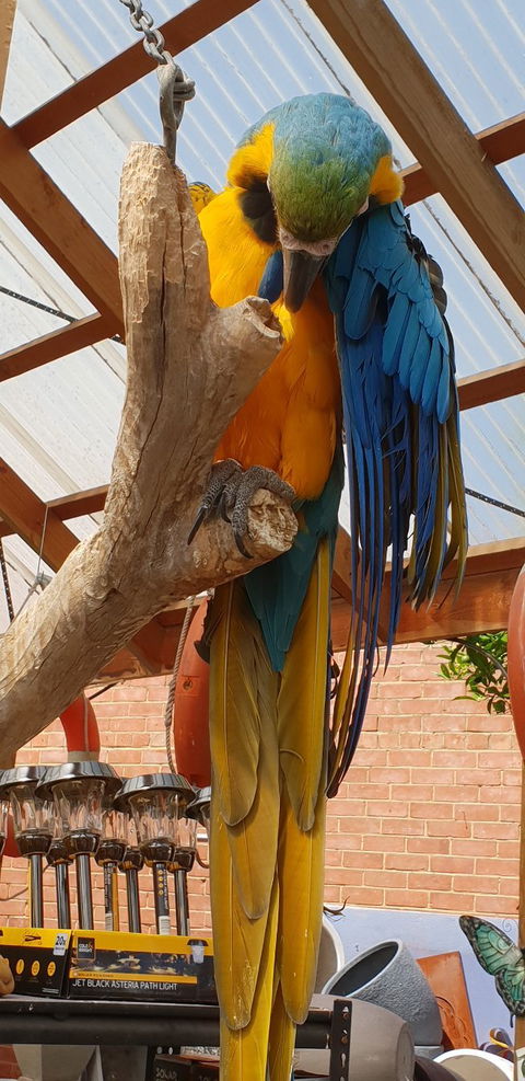 Sarah's Sister's Sustainable Cafe - Australia Shopping 32