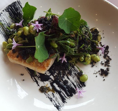 Cafe Moby - Local Tourism 12