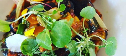 Cafe Moby - Local Tourism 1