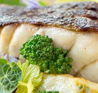 Kammadhenu Neutral Bay - Accommodation Australia