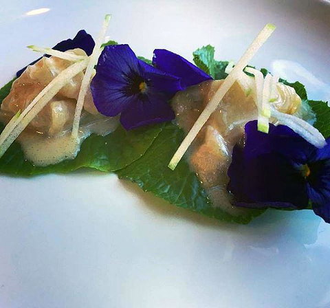 Muse - Accommodation Australia 5