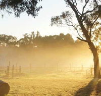 Spot Pea - Accommodation Australia