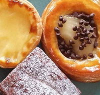 Bear  Cub - Local Tourism