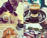 Bear & Cub - Local Tourism 11