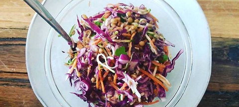 Bear & Cub - Local Tourism 3