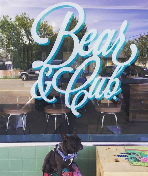 Bear & Cub - Local Tourism 5