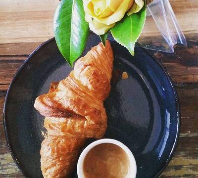 Bear & Cub - Local Tourism 6