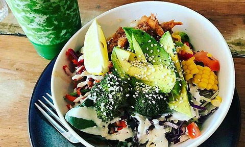 Bear & Cub - Local Tourism 8