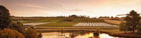 Fish Creek Hotel - Accommodation Australia 10