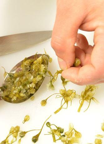 Twelve Stones - Accommodation Australia 1