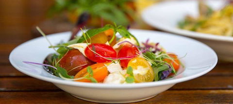Black Swan Winery & Restaurant - Accommodation Australia 2