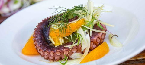 Black Swan Winery & Restaurant - Accommodation Australia 3