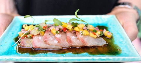 Sash Japanese Pizza - Accommodation Australia 0