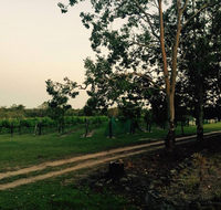 Brierley Wines - Local Tourism